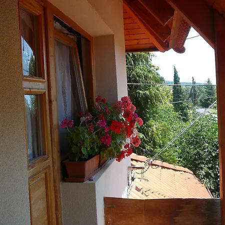 公寓 Porkolab Apartmanhaz 根尼斯迪亚斯